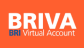 bri virtual account